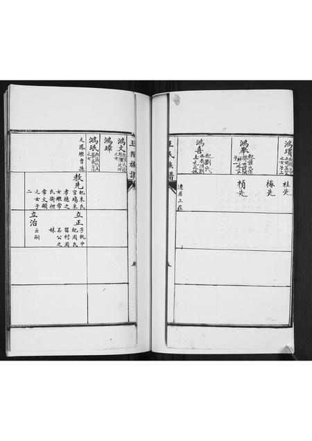 山东王氏-王氏族谱[2卷].pdf电子版预览图5