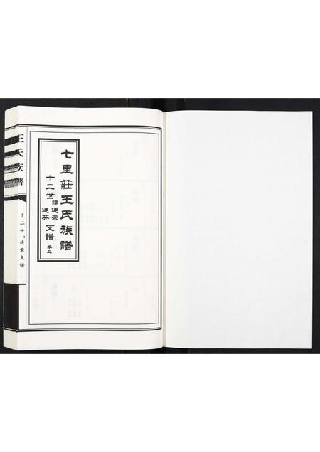 山东王氏-王氏族谱[2卷].pdf电子版预览图1