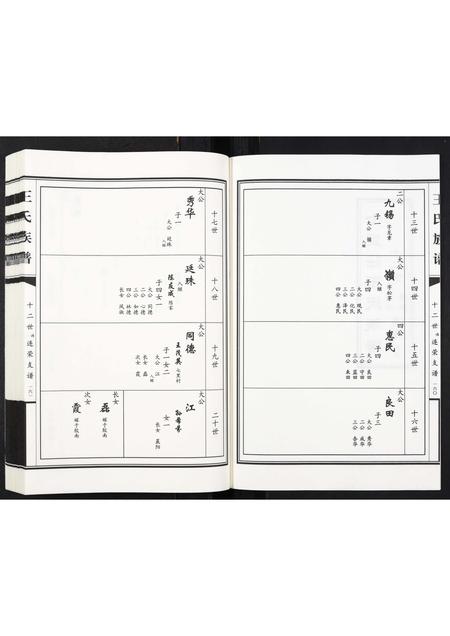 山东王氏-王氏族谱[2卷].pdf电子版预览图2