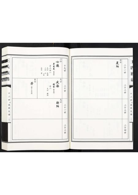 山东王氏-王氏族谱[2卷].pdf电子版预览图3