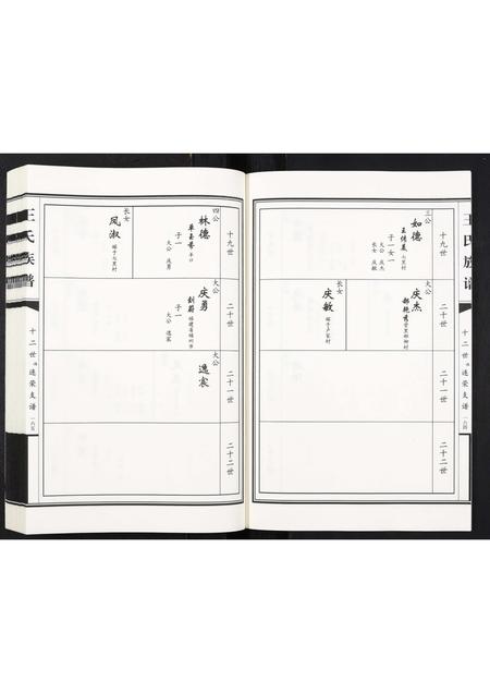 山东王氏-王氏族谱[2卷].pdf电子版预览图4