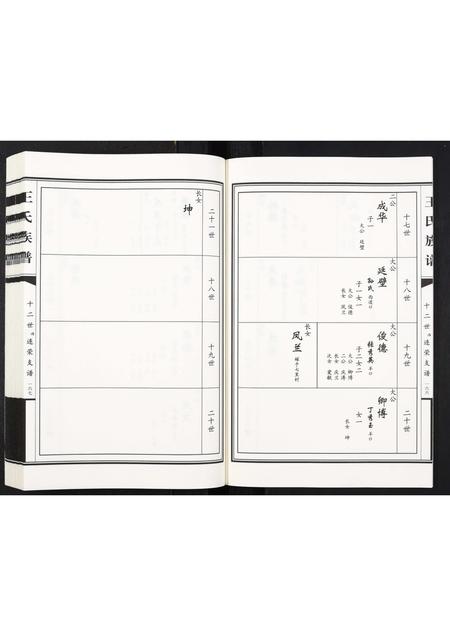 山东王氏-王氏族谱[2卷].pdf电子版预览图5