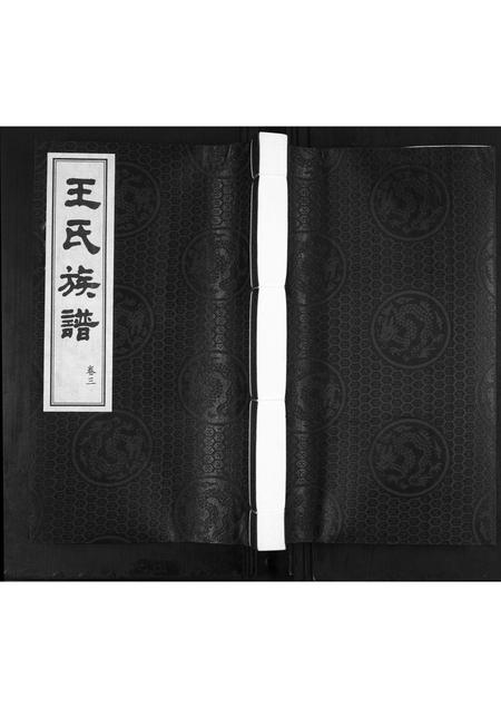 山东王氏-王氏族谱[3卷].pdf电子版缩略图