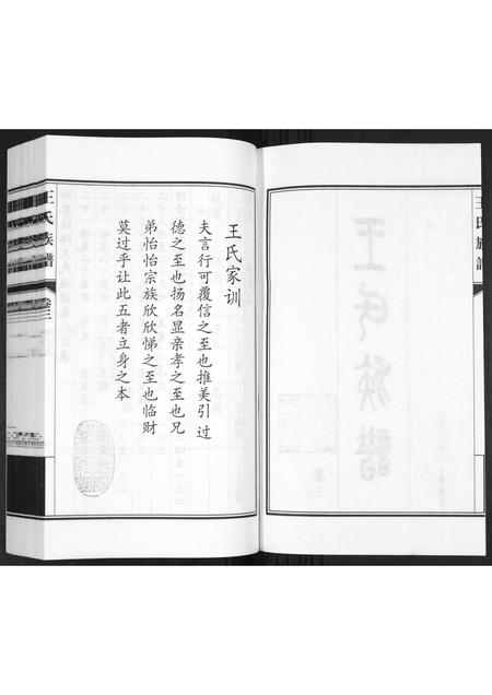 山东王氏-王氏族谱[3卷].pdf电子版预览图1