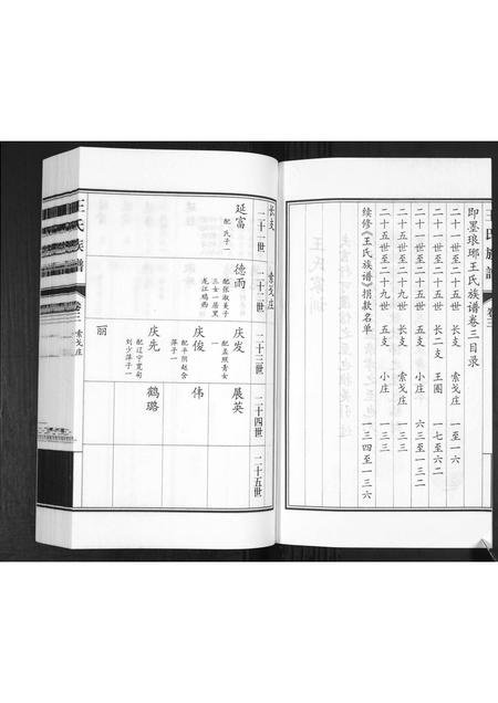 山东王氏-王氏族谱[3卷].pdf电子版预览图2