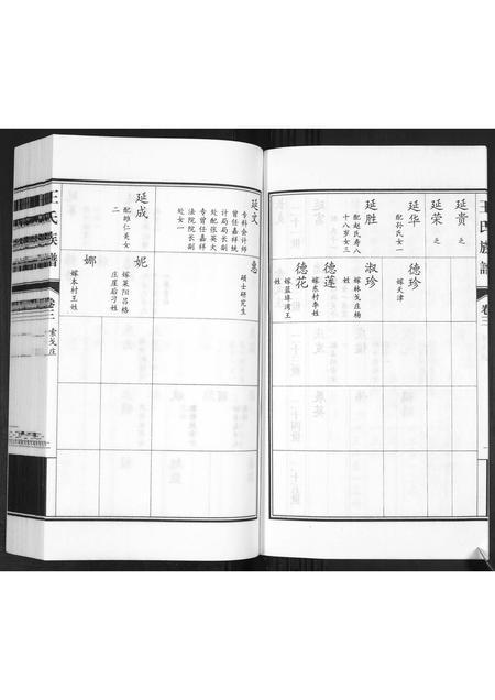 山东王氏-王氏族谱[3卷].pdf电子版预览图3