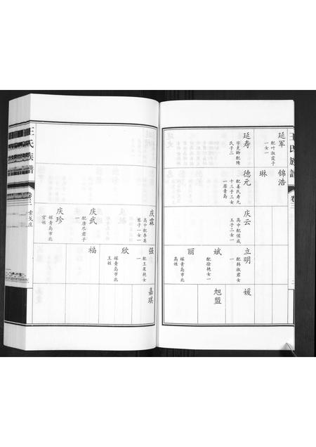 山东王氏-王氏族谱[3卷].pdf电子版预览图4