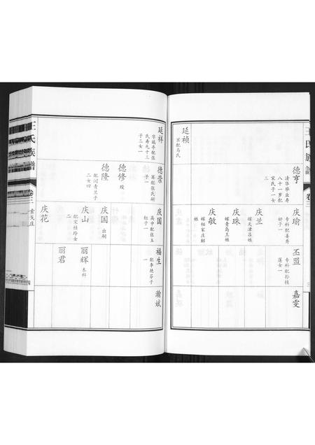 山东王氏-王氏族谱[3卷].pdf电子版预览图5