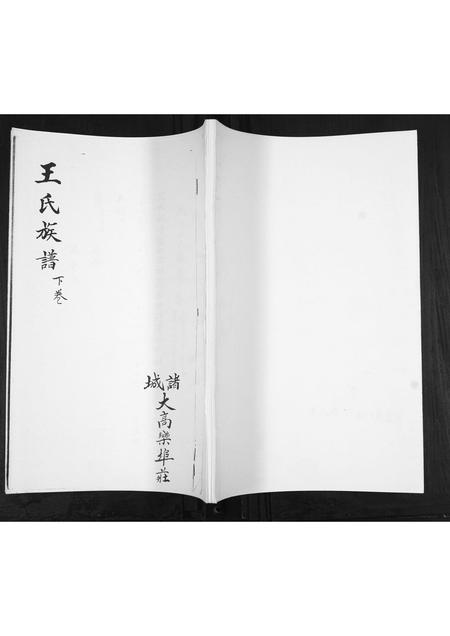 山东王氏-王氏族谱[3卷].pdf电子版缩略图
