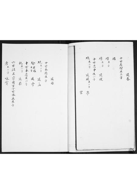 山东王氏-王氏族谱[3卷].pdf电子版预览图3