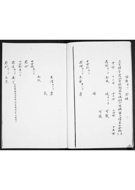 山东王氏-王氏族谱[3卷].pdf电子版预览图4