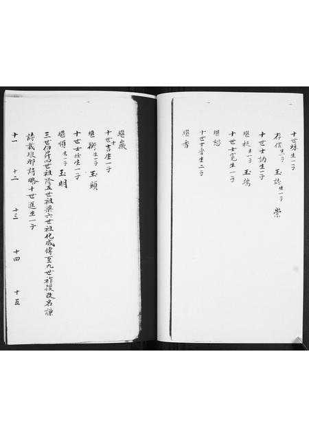 山东王氏-王氏族谱[3卷].pdf电子版预览图5