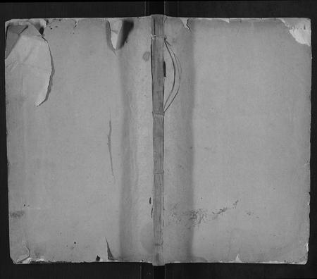 山东王氏-王氏族谱[40卷].pdf电子版缩略图