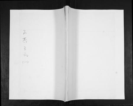 山东王氏-王氏族谱[4卷].pdf电子版缩略图