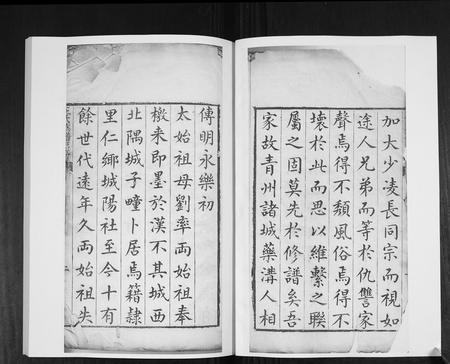 山东王氏-王氏族谱[4卷].pdf电子版预览图1