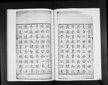 山东王氏-王氏族谱[4卷].pdf电子版预览图2