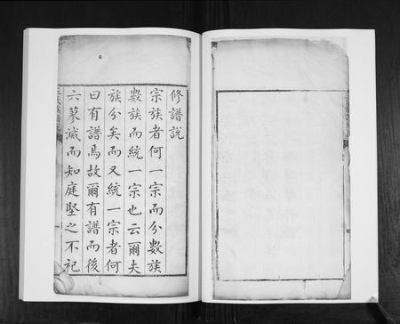 山东王氏-王氏族谱[4卷].pdf电子版预览图4