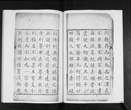 山东王氏-王氏族谱[4卷].pdf电子版预览图5