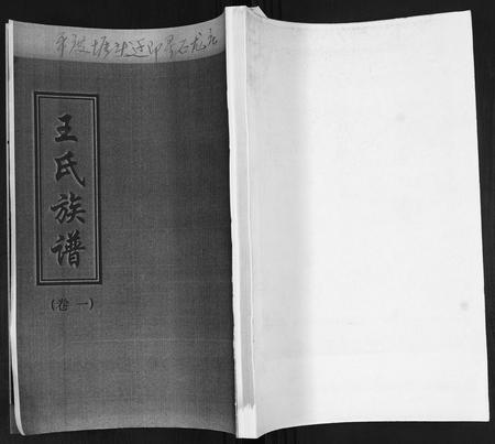 山东王氏-王氏族谱[4卷].pdf电子版缩略图