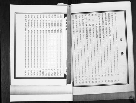 山东王氏-王氏族谱[4卷].pdf电子版预览图3