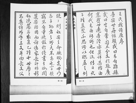 山东王氏-王氏族谱[4卷].pdf电子版预览图4