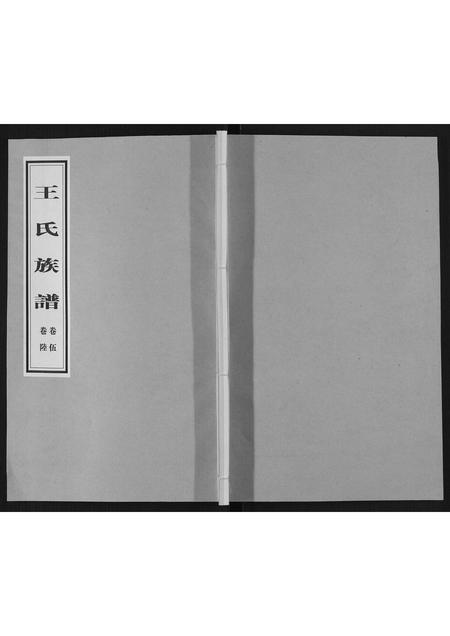 山东王氏-王氏族谱[5卷].pdf电子版缩略图