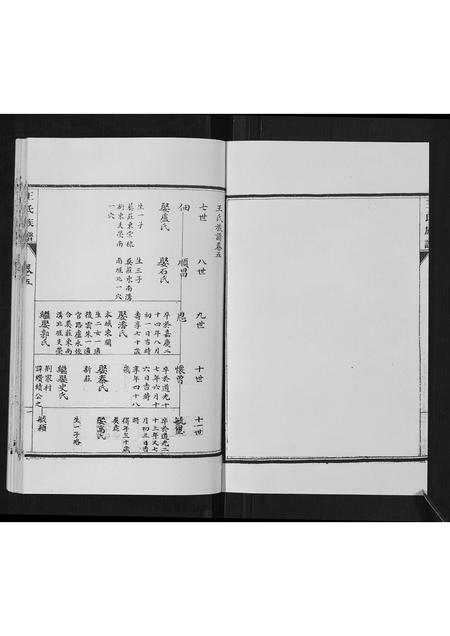 山东王氏-王氏族谱[5卷].pdf电子版预览图2