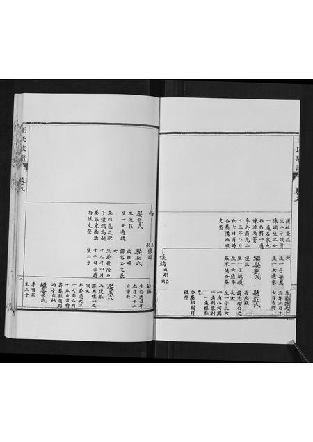 山东王氏-王氏族谱[5卷].pdf电子版预览图3