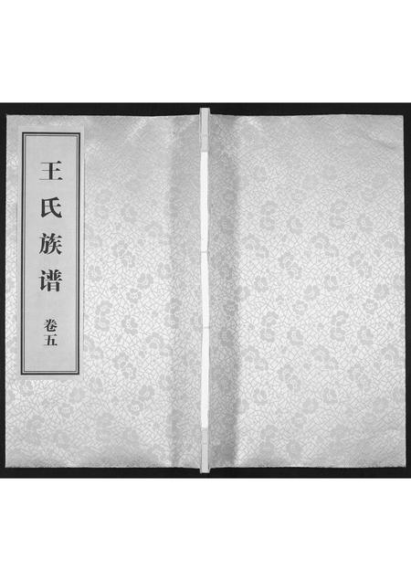 山东王氏-王氏族谱[5卷].pdf电子版缩略图