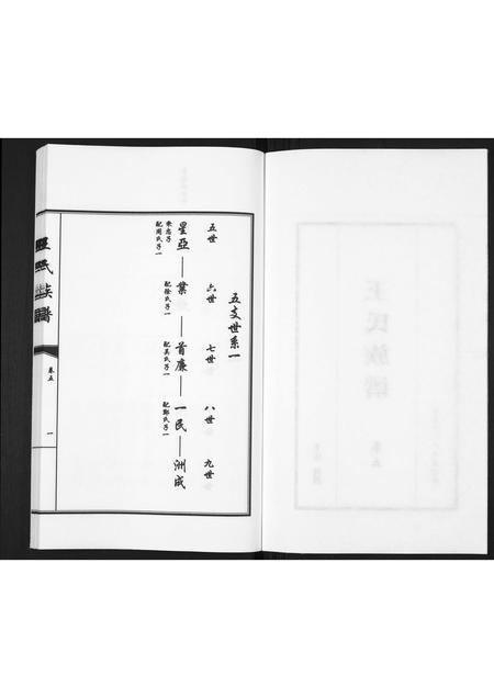 山东王氏-王氏族谱[5卷].pdf电子版预览图2