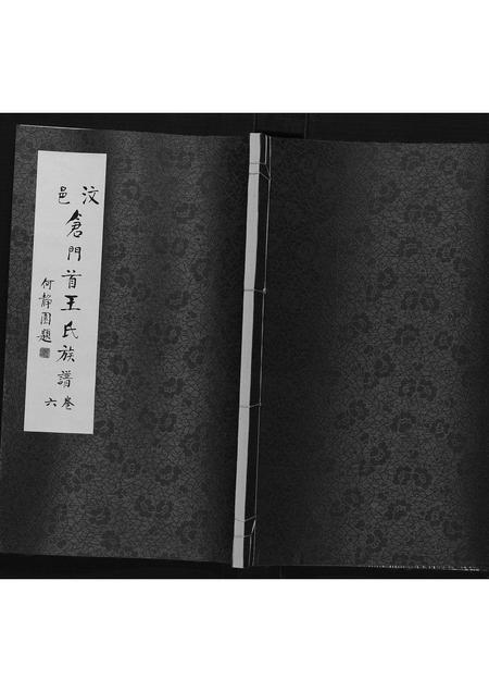 山东王氏-王氏族谱[6卷].pdf电子版缩略图