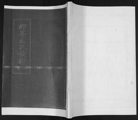 山东王氏-王氏族谱[6卷].pdf电子版缩略图