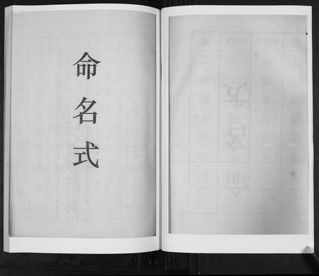 山东王氏-王氏族谱[6卷].pdf电子版预览图3