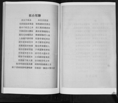 山东王氏-王氏族谱[6卷].pdf电子版预览图5