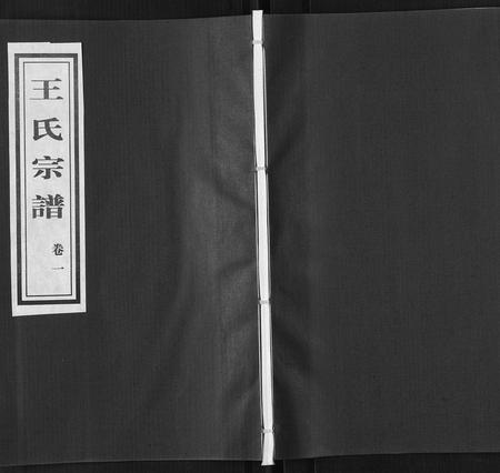 山东王氏-王氏族谱[8卷].pdf电子版缩略图