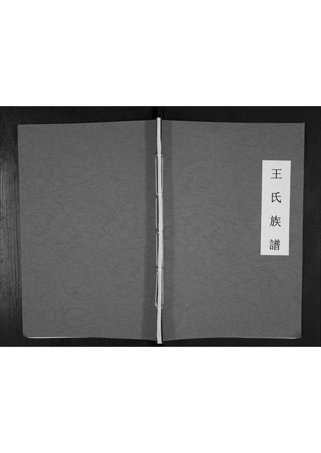 山东王氏-王氏族谱[不分卷].pdf电子版缩略图