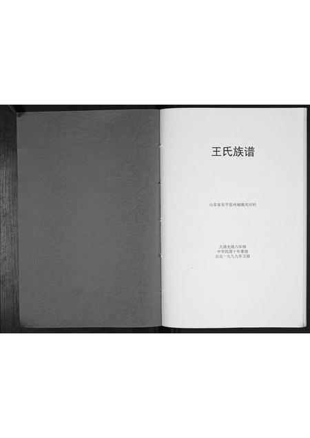 山东王氏-王氏族谱[不分卷].pdf电子版预览图1