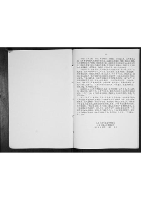 山东王氏-王氏族谱[不分卷].pdf电子版预览图2