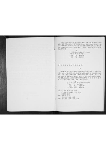 山东王氏-王氏族谱[不分卷].pdf电子版预览图3