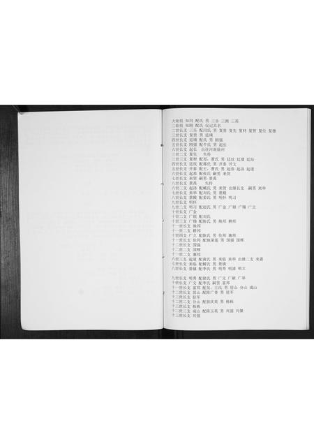 山东王氏-王氏族谱[不分卷].pdf电子版预览图4