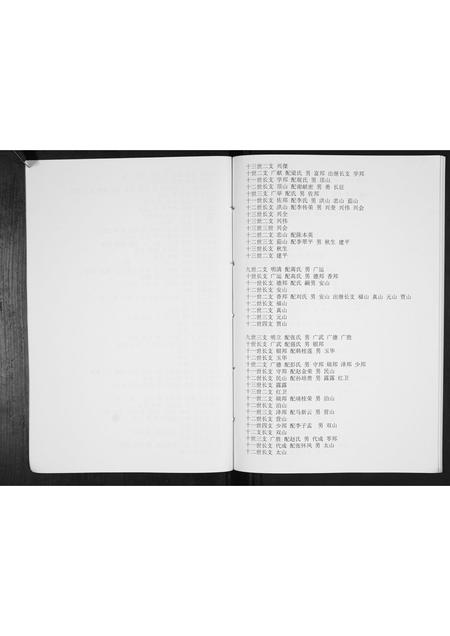 山东王氏-王氏族谱[不分卷].pdf电子版预览图5