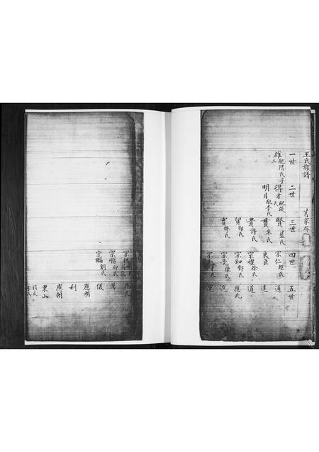 山东王氏-王氏祖谱.pdf电子版预览图5