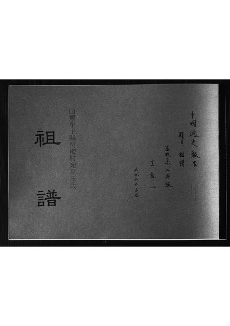 山东王氏-王氏祖谱.pdf电子版缩略图