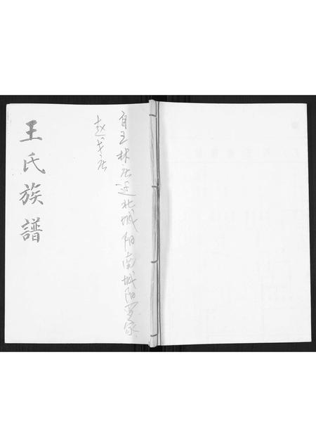 山东王氏-王氏谱书.pdf电子版缩略图