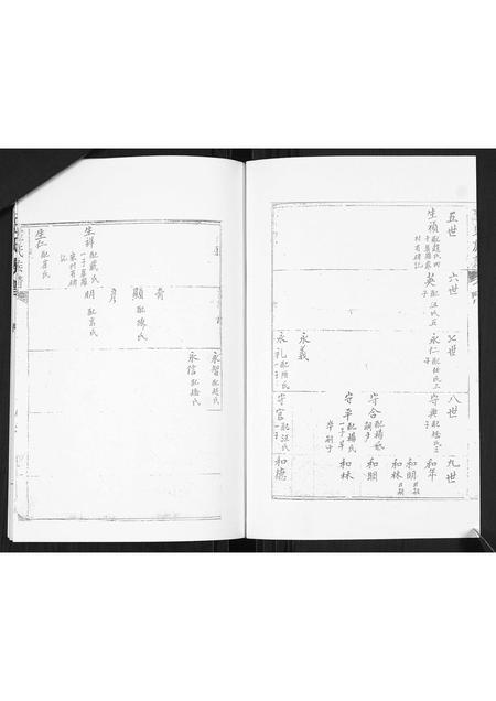 山东王氏-王氏谱书.pdf电子版预览图4