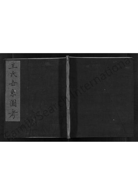 山东王氏-王氏谱书 [不分卷](别名：王氏世系图考).pdf电子版缩略图