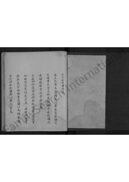 山东王氏-王氏谱书 [不分卷](别名：王氏世系图考).pdf电子版预览图1