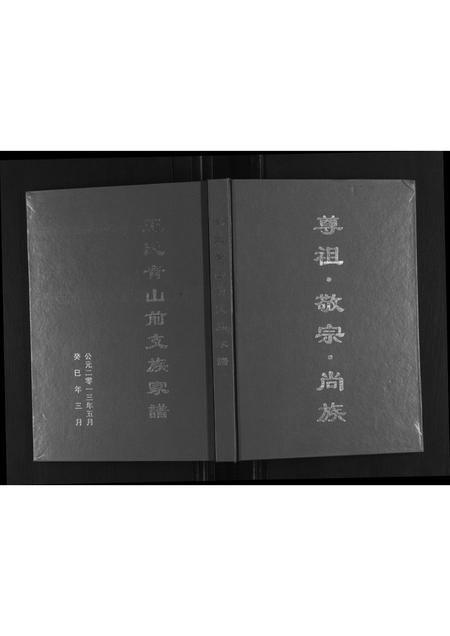山东王氏-王氏青山前支族家谱.pdf电子版缩略图