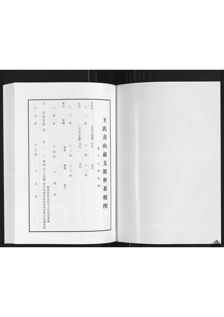 山东王氏-王氏青山前支族家谱.pdf电子版预览图2