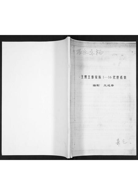 山东王氏-王照王泰家族1-16代世系表.pdf电子版缩略图